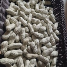 ���滨���ٺϼt�����Ҽ�ˮ����������ģ�ͷ���Թ��b���[��