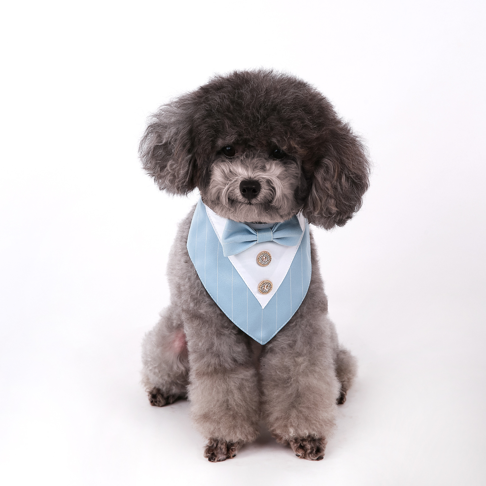 Navidad Año Nuevo Spot transfronterizo boda británica trajes toallas para mascotas bufandas perros velcro toallas para mascotas triángulos