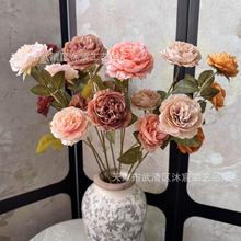 ���^��ĵ�������^¶ɏ��Y�bٻ�������÷���Ƶ�������Q�羳