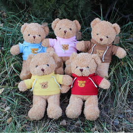 可爱卫衣泰迪小熊毛绒玩具抱抱小熊布娃娃玩偶送女生儿童生日批发