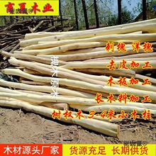 ��ľԭľ�̻�ԭľȥƤ���С��ľ�����������Θ����ľ����̫��