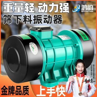 Screen Feeder Vibrator Industrial Vibration Motor Single-Phase and Three-Phase All-Copper High-Frequency Flat Small Agricultural Vibrator