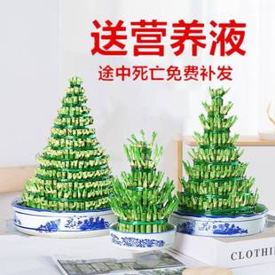 ���F����������ˮ��ֲ��ˮ�B�͏d�k������ؔ�^�������Ԏ����D�\��