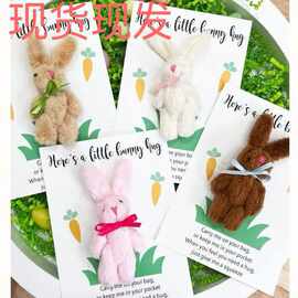 Cuddly Bunny Pocket Hug 复活节 可爱的兔子口袋拥抱