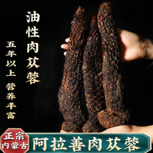 荒漠肉苁蓉内蒙阿拉善整根500g好品质正品油苁蓉秋采大片