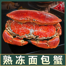 熟冻面包蟹鲜活熟冻特大黄金蟹黄道海鲜螃蟹珍宝大母蟹梭子蟹
