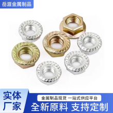 ���mĸ 4.8 ��\ 僰�/��/���\/懎��X��ĸ���X��ñ���m��