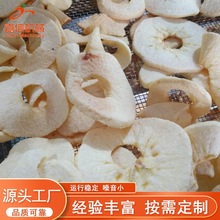 苹果脆片真空膨化机 全自动真空果蔬干燥设备 苹果真空闪蒸机厂家