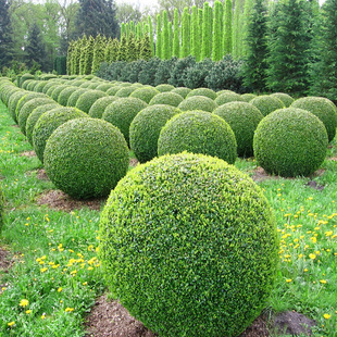 ���~Ůؑ�����ͥԺ�G�����̽�����Θ䳣�G��ľС�~�����ľ���~