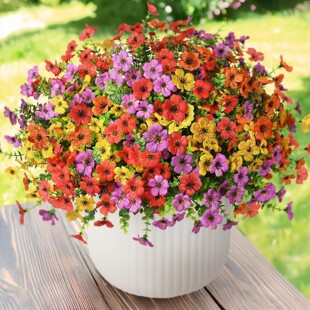 �羳����7��35Ŀ�ȼ������_�m���滨�������_�m���ϼٻ�����Gֲ
