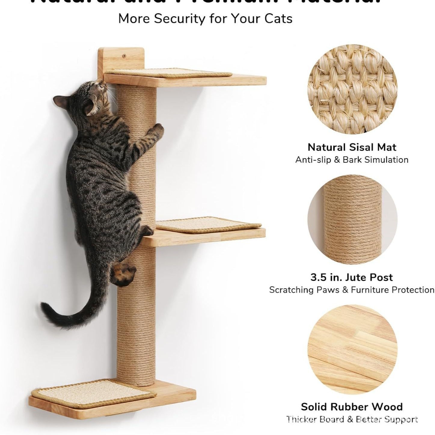 2024-08-10 10:12:36.jpg