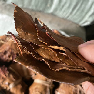 ɽ��~ ���|ɽ��~ �����r�� �a��ֱ�N ɢ�~���Ѹ�Ʒɽ����ș��