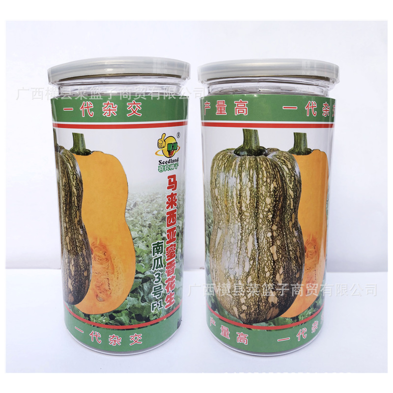 马来西亚蜜香花生南瓜3号点F1 冯子龙喜良厂家直售批零大田基地