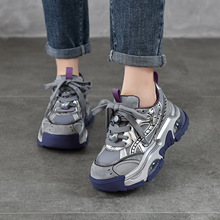 ���ײɫ��Ƥ�ϵ�ЬŮ2026�괺���¿����e�\�ӵ͎͆�ЬŮins��Ь