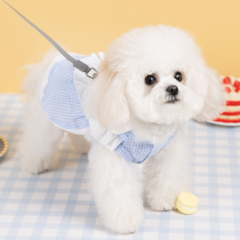 Vestido de sirvienta de estilo de dama de encaje de perro de primavera y verano, falda de gato de estilo princesa, ropa de perro para mascotas