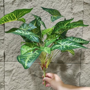 ���������~��ȸľˮ����횲�¹���~�B��ާ�� ��Ƥ�� �����~