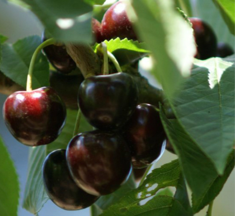 7fac410bgc41a4b7a56c8&690_