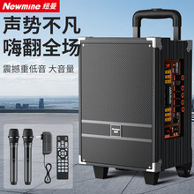纽曼N518大功率广场舞音响 8英寸K歌蓝牙拉杆音箱双麦带适配器