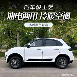 接送汽车家用两用新能源成人四轮代步代步车电动轮4小型能源电电