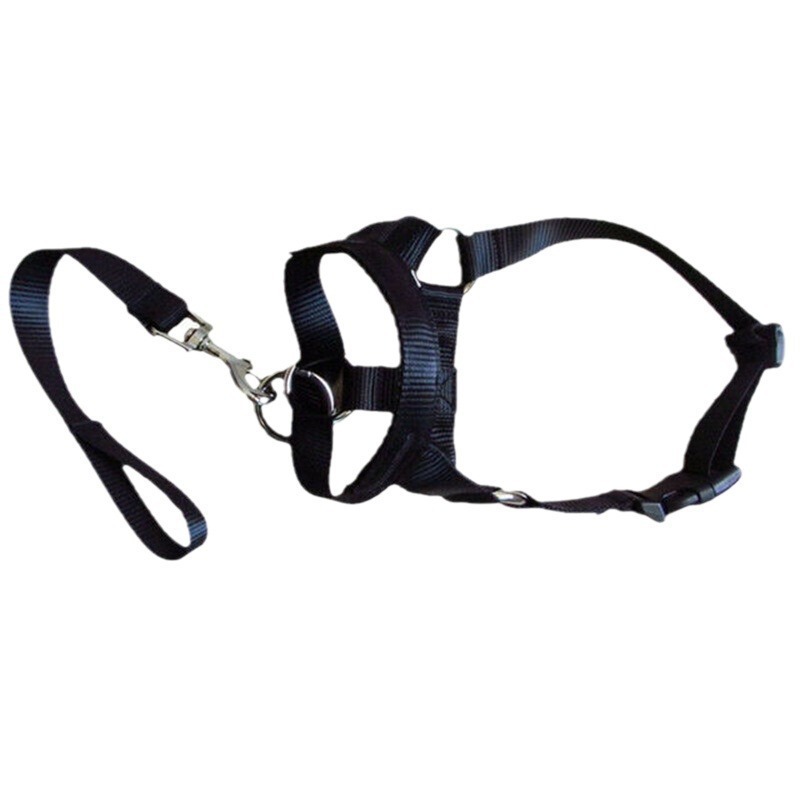 Los fabricantes suministran manguito para boca de mascota, manguito para boca de perro de nailon, cuerda para boca de perro, anti-llamada, anti-mordedura, a prueba de explosiones, cuerda para perro de entrenamiento para mascotas