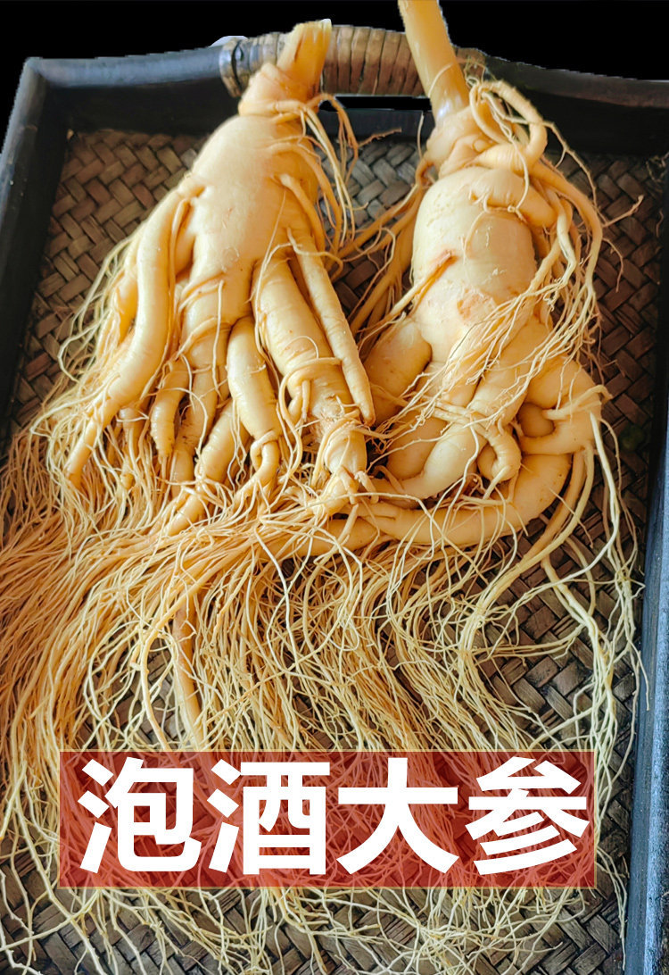 Fresh Changbai Mountain Ginseng Ren Shen Whole Root for Wine Infusion and Soup Making Gift Box overview