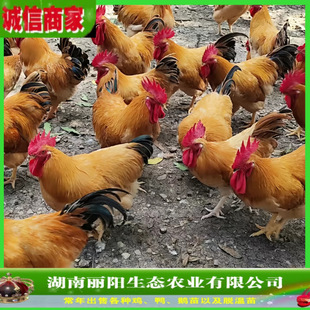 ���S�u����w�������ֱ�l�r����B��ɽ�u�к��B�����M�ṩ���gһ