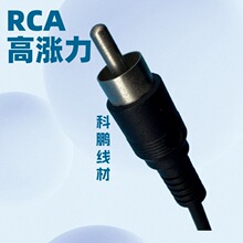 RCA�ߝq��ɏ���^��늾����l��DC���L���ɫ�ɶ���