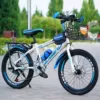 Great deal [disc brake turns blue] + basket + shelf