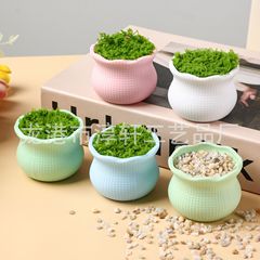 源工場プラスチック植木鉢模様マカロン色diy毛糸鉤織ツイスト棒飾りミニ植木鉢
