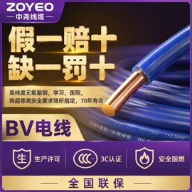 电力电缆;其他电缆