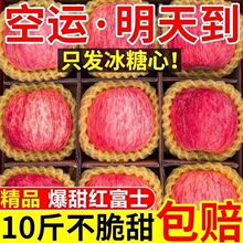 苹果爆甜洛川红富士当季整箱陕西冰糖心水批发十斤箱装一件批发