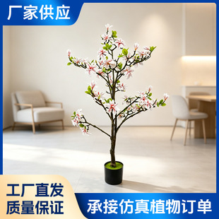 �羳����Gֲ���m�������ԼҾ��̈��҃��bGֲ�쾰����٘�