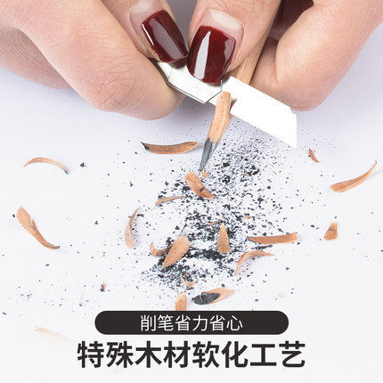 Marco profesional arte pintura registro bosquejo de carbón 2B/HB/4B/6B/8B/10B principiante llanura