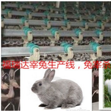 供应獭兔宰杀线 肉兔屠宰线设备 厂家直销