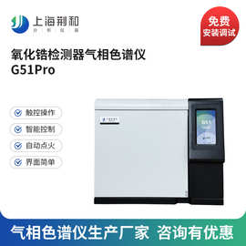 荆和 氧化锆检测器气相色谱仪 高纯惰性气体分析G51Pro色谱仪