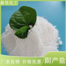 厂家现货批发副产盐工业 高含量烘干甩干副产盐 氯化钠工业盐粉末