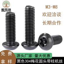 ɫ304P䓈A^÷C僺ڷ÷A^Iݽz