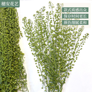 in stock Green Bell Grass Flower with Branches Art Portrait Decorative Props Lone Vegetable Gum Dropping Plant Specimen Embossed Dried Flower