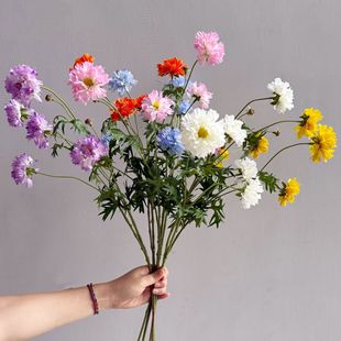 ��@���滨С����f�۾�����ͥԺ�쾰���üҾ��b���Y���佁��