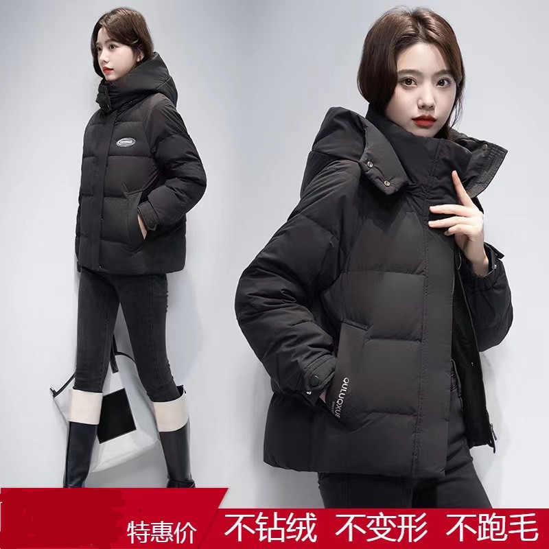 2020新款羽绒棉服女秋冬款宽松面包服外套女ins棉衣短款bf风外套