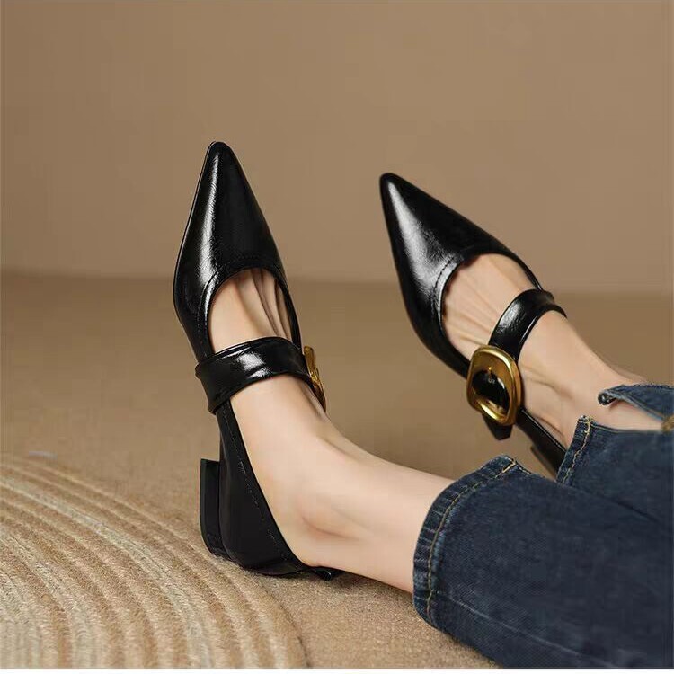 Pointed Toe Thick Heel Women's Shoes 2025 Autum New Fashion Flats Buckle High Heels Elegant Professional Shoes Small Leather Shoes