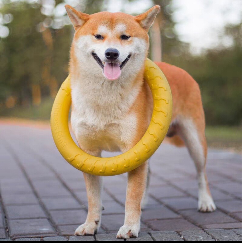 犬のおもちゃは歯ぎしりしてボールをかむことに耐えます。|undefined