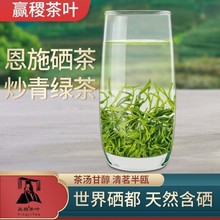茶葉綠茶2022新茶散裝炒青500g高山雲霧綠茶濃香型去火恩施硒茶