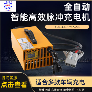Lead-acid battery Lithium iron phosphate battery Ternary lithium battery