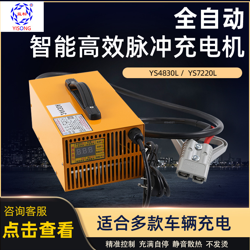 铅酸电池磷酸铁锂电池三元锂电池24V30A36V25A48V20A60V18A72V15A