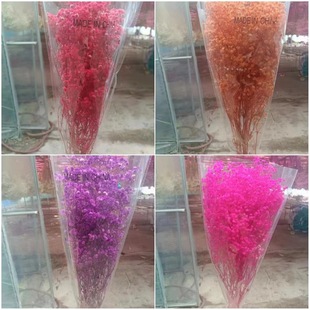�M����С���� �M�������l �M���Ǹɻ����l �M���Ǹɻ� �ɻ�  �滨