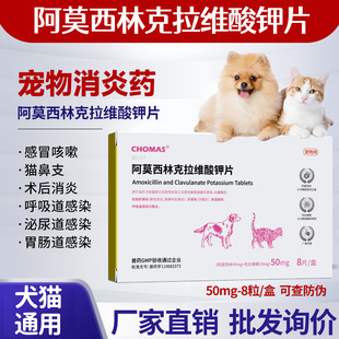 Pet Cold Medicine Amoxicillin and Clavulanate Potassium Cat Cold Medicine Cat Nasal Branch Sneezing Cough Runny Nose