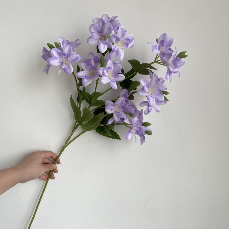 微信图片_202203251600433_副本