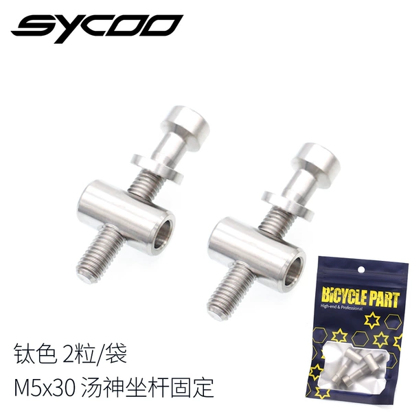 M5x30 titanium color