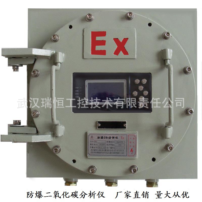 RHCO2-301防爆常量二氧化碳分析仪厂家/红外传感器高炉煤气检测